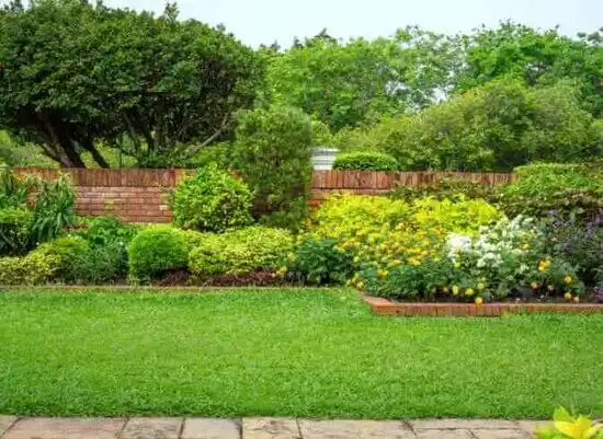 landscaping services Frazee